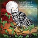 The Wise Old Owl