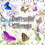 Butterflies Challenge