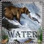 In a Word Water