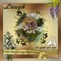 In a Word - Laugh