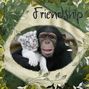 Friendship