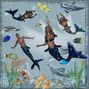 Swim with Fish FF