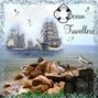 Ocean Travellers