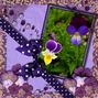 Exploring Photolab 11