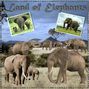 Land of Elephants