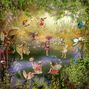 Land of Fairies
