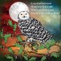 The Wise Old Owl