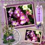 Exploring Photolab 14