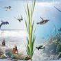 Friday Fantasy Deep Blue Sea