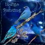 Indigo Bunting