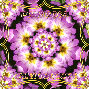 Kaleidoscope Challenge