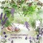 Lavender time