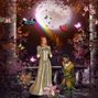 Fairy Proposal