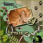 Feline Friend