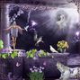 Fairy Dreams