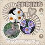 Springtime