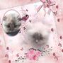 Charlise perfume of roses 2