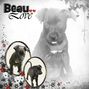 Beau Love