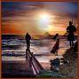 The summer wind