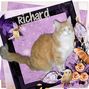 Richard walking on a dream