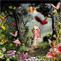 birds and butterflies