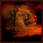 Majestic lion 2