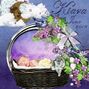 Lilac avenue