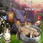 Bed and breakfast