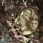 Thomas and Aletta