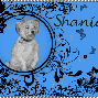 Shania begging