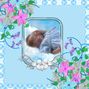 sleeping in the clouds