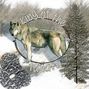 snow wolf