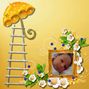 songs of orange