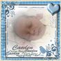 in dreamland 3