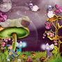 in the midnight garden