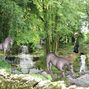 fantasy watering hole