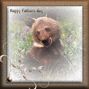 Fathers day bear card