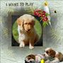 i want to play