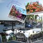 holiday gardens