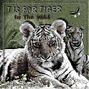 tigers in the wild