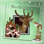 winter greetings