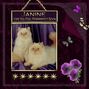 Janine card