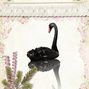 swan memories card