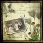 Alice, Betty