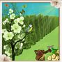 butterfly n dragonfly challeng page