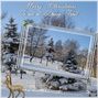 merry christmas daisy trail