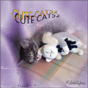 Cute Cat