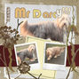 DARCY