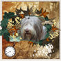 A Dog in Time