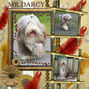 My Dog Mr Darcy